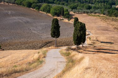 Tuscany, Italy,  typical tuscanian landscape