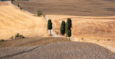 Tuscany, Italy,  typical tuscanian landscape