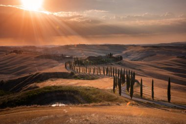 Tuscany, Italy,  typical tuscanian landscape
