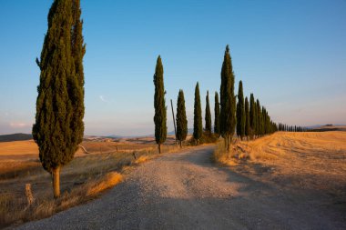 Tuscany, Italy,  typical tuscanian landscape