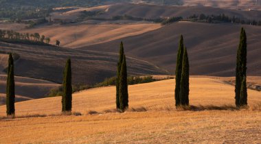 Tuscany, Italy,  typical tuscanian landscape