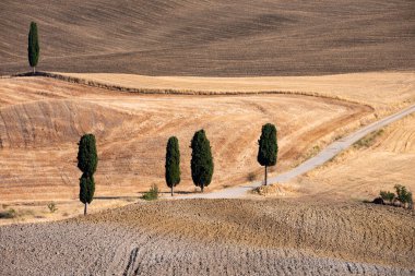 Tuscany, Italy,  typical tuscanian landscape