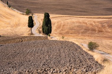 Tuscany, Italy,  typical tuscanian landscape