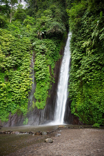 Waterfal in green tropical forest in Bali, Indonesia