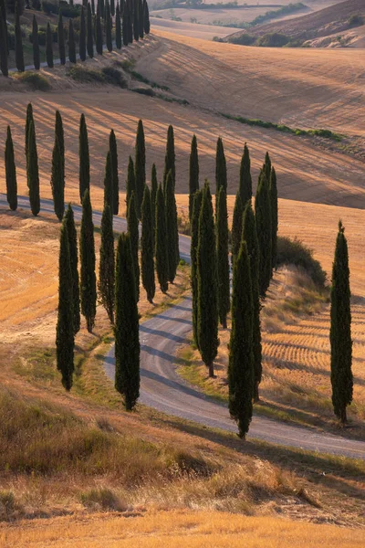 Tuscany, Italy,  typical tuscanian landscape