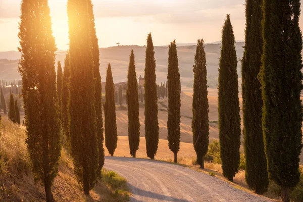 Tuscany, Italy,  typical tuscanian landscape