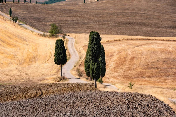 Tuscany, Italy,  typical tuscanian landscape