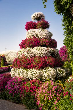 Renkli çiçek ve çiçeklerle dolu güzel bir bahçe ya da park.