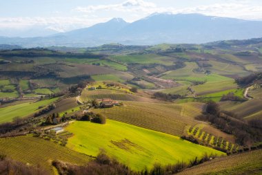 Kırsal alan, tepeler arasında tarım alanları