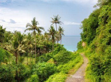Palmiye ağaçları ve yemyeşil yağmur ormanları arasında deniz kıyısına giden yol
