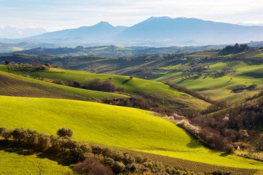 Kırsal alan, tepeler arasında tarım alanları