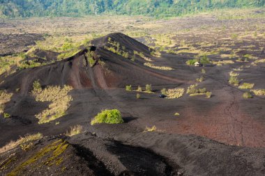 Bali, Endonezya 'daki Batur volkanı gezisi. Siyah lav kumu ve biraz yeşil bitki.