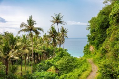Palmiye ağaçları ve yemyeşil yağmur ormanları arasında deniz kıyısına giden yol
