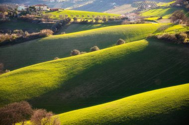 Kırsal alan, tepeler arasında tarım alanları