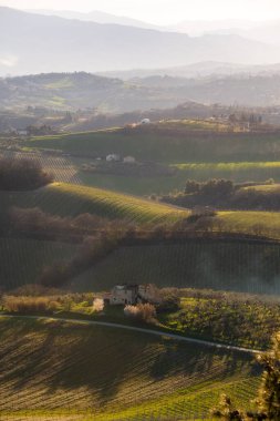 Kırsal alan, tepeler arasında tarım alanları