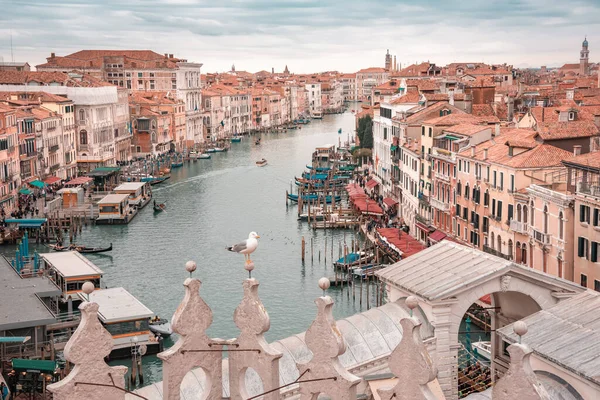 Grand Canal Gondolas Venice City Italy — Stock Photo, Image