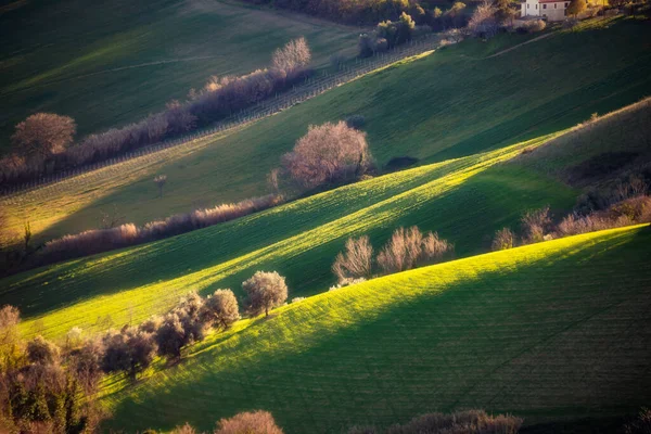 Countryside Landscape Agriculture Fields Hills — Stock Photo, Image