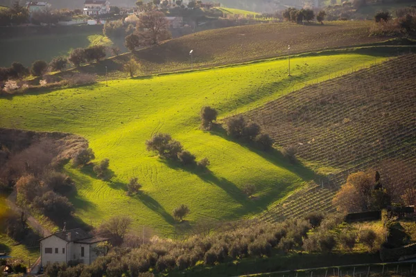 Paysage Rural Champs Agricoles Entre Collines — Photo