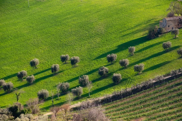 Paisaje Rural Campos Agrícolas Entre Colinas —  Fotos de Stock