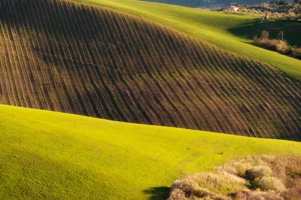 Landschaft Auf Dem Land Landwirtschaftliche Felder Zwischen Hügeln — Stockfoto