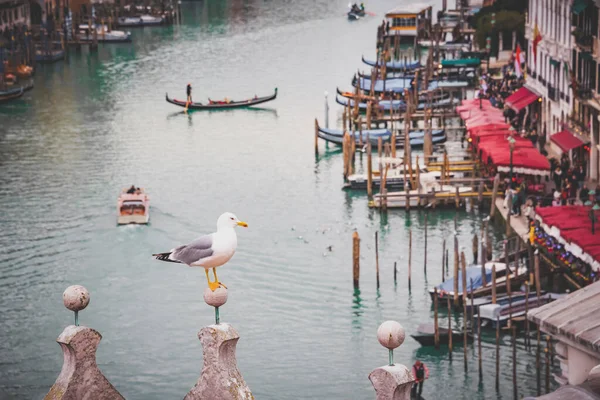 意大利威尼斯市带有贡多拉的大运河 — 图库照片