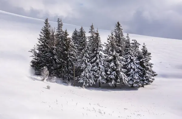 Winterlandschap Vallei Heuvels Bedekt Met Sneeuw Zonnige Dag — Stockfoto
