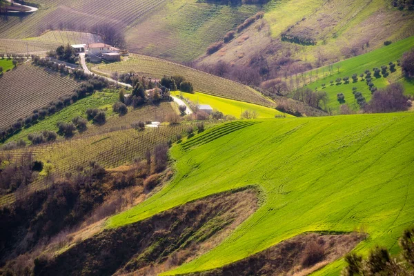 Peisaj Rural Câmpuri Agricole Printre Dealuri — Fotografie, imagine de stoc