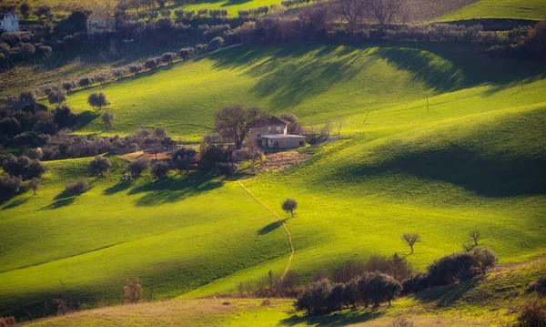 Paisagem Rural Campos Agrícolas Entre Colinas — Fotografia de Stock