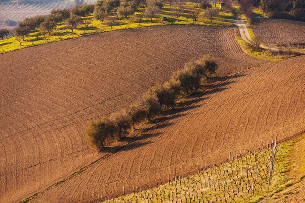 Landelijk Landschap Herfst Landbouwvelden Tussen Heuvels — Stockfoto