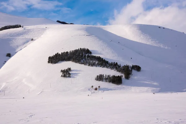 Italië Kaart Silhouet Gemaakt Met Bomen Snowyhill Winter — Stockfoto