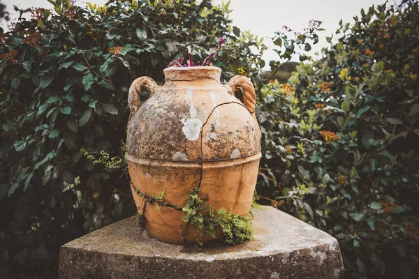 Old Stone Vase Park Italy — Stock Photo, Image