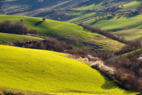 田園風景 丘の間の農業分野 — ストック写真