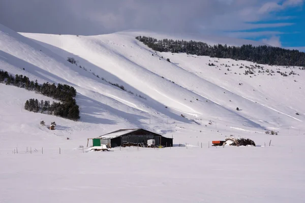 Winterlandschaft Schneebedeckte Täler Und Hügel Sonnigen Tagen — Stockfoto