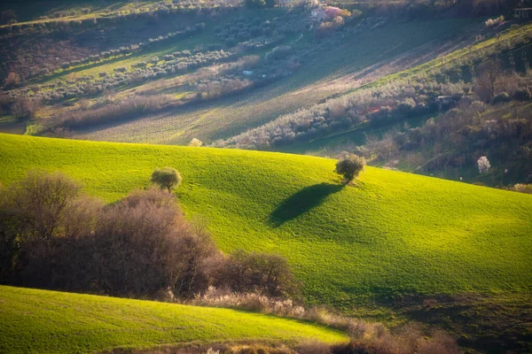 Peisaj Rural Câmpuri Agricole Printre Dealuri — Fotografie, imagine de stoc