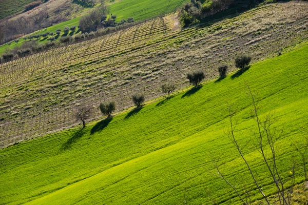 Landelijk Landschap Landbouwvelden Tussen Heuvels — Stockfoto