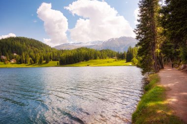 Saint Moritz Gölü, İsviçre Yazın