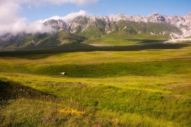 Yazın dağ otlağı, doğa manzarası