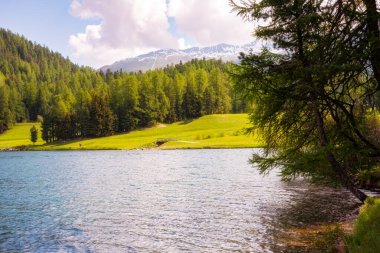 Saint Moritz Gölü, İsviçre Yazın