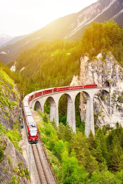 İsviçre kırmızı treni, manzaralı bir yolculuk için dağda viyadük üzerinde