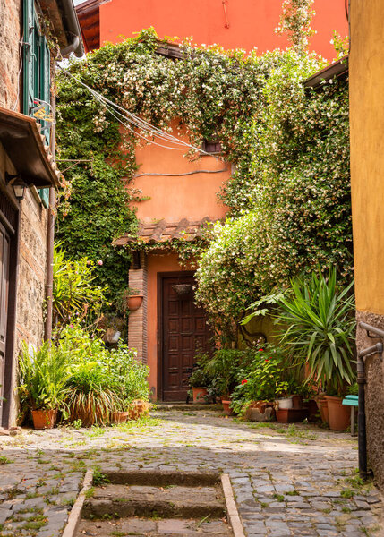 Narrow street of small town with many green plants in Italy