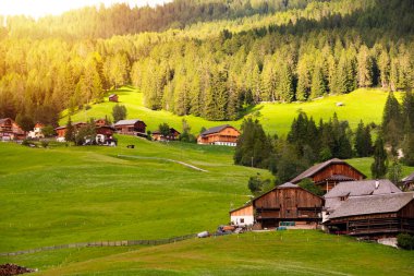 Dolomite Alpleri 'nde yeşil çayırlardaki ahşap ev, İtalya yazın