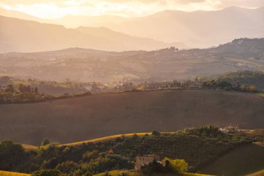 Sonbaharda üzüm bağıyla kırsalda gün batımı