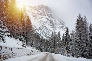 İtalya 'daki Dolomite dağlarında ormanların arasında kış yolu