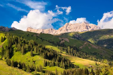 İtalya 'da Dolomite Alpleri, yüksek dağ ve yeşil orman