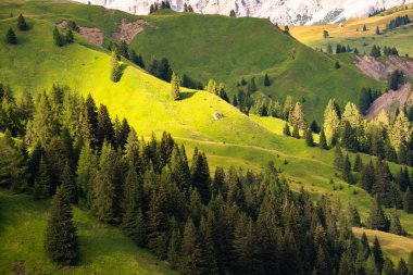 İtalya 'da Dolomite Alpleri, yüksek dağ ve yeşil orman