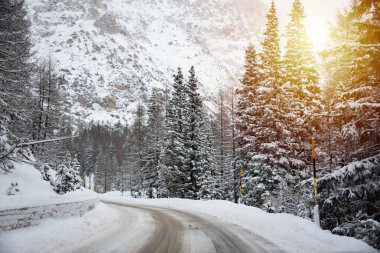 İtalya 'daki Dolomite dağlarında ormanların arasında kış yolu
