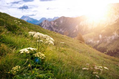 Yeşil çayırlarda bir dağ köyü olan Dolomite Alpleri