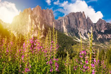 İtalya 'da Dolomite Alpleri, yüksek dağ ve yeşil orman
