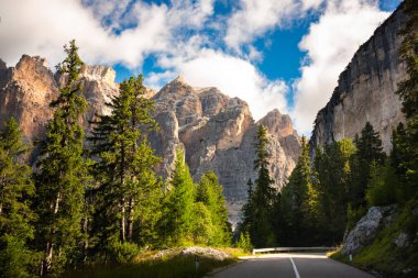 İtalya 'da Dolomite Alpleri, yüksek dağ ve yeşil orman