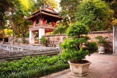 Hanoi Vietnam 'da geleneksel bonsai ağacı olan Asya binası.
